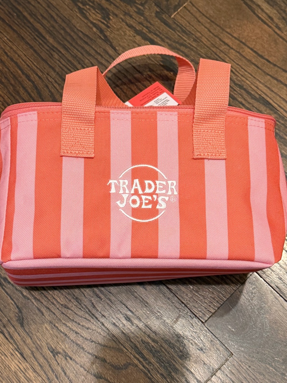 Trader Joe's Mini Cooler Bag